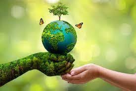 Environmental Conservation